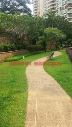 Thomson 800 (D11), Condominium #104718642